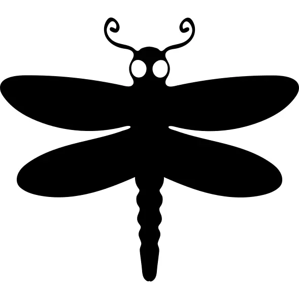 Dragon fly winged animal top view