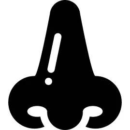 Nose