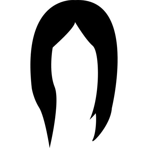 Hair wig long and black shape