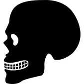 Human skull side view silhouette