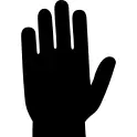 Male hand shape