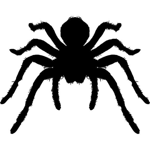 Tarantula arthropod animal silhouette