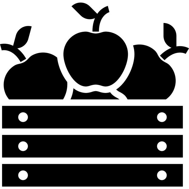 Fruit
