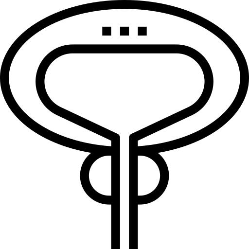 Prostate