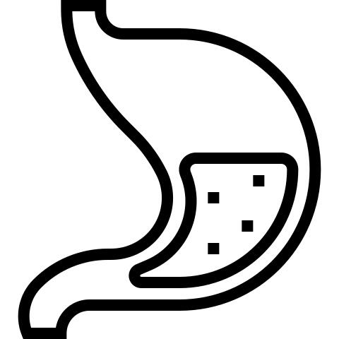 Stomach