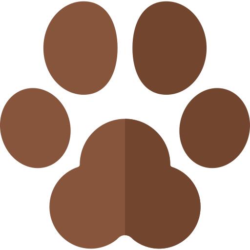Animal track