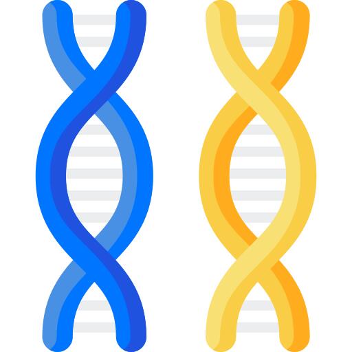Chromosome