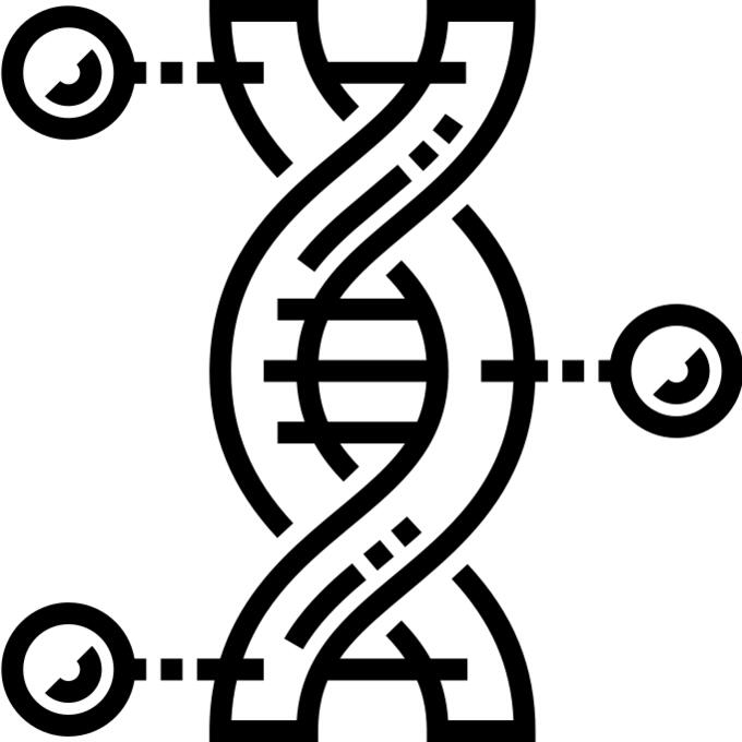 Genome