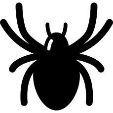 Halloween spider