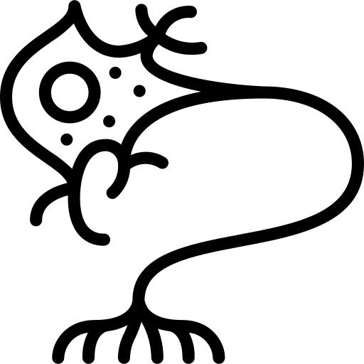 Neuron