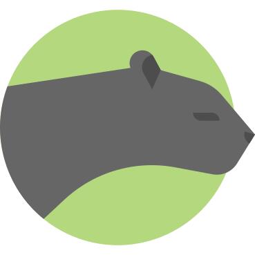 Panther