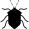 Bug black insect shape from top view