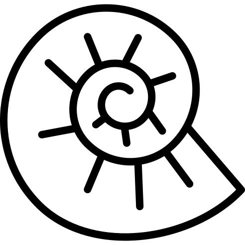 Ammonite