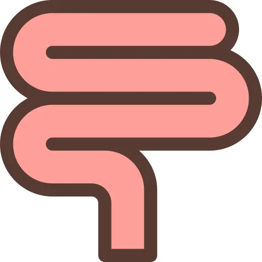 Intestine