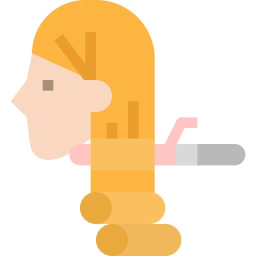 Hair curler