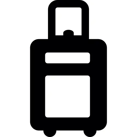 Trolley bag