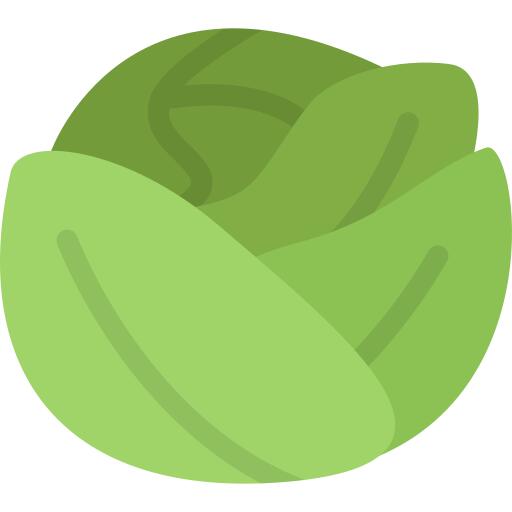 Cabbage