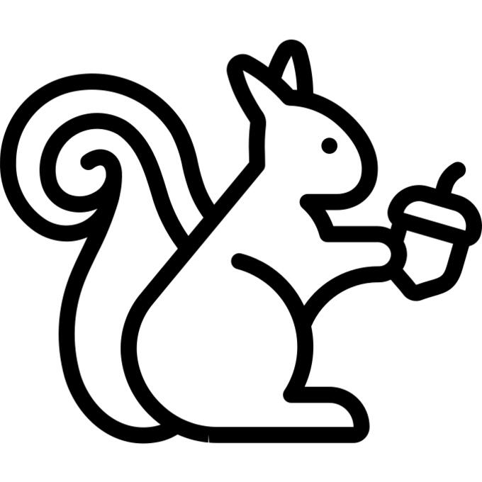 Squirrel