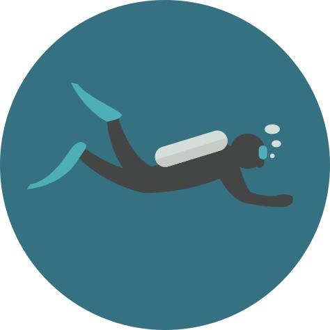 Diver