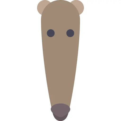 Anteater