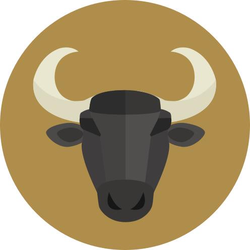 Taurus