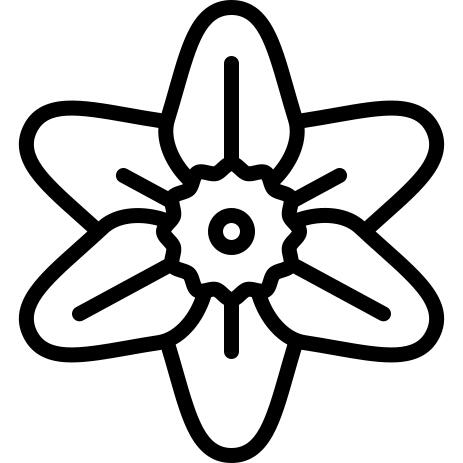 Narcissus