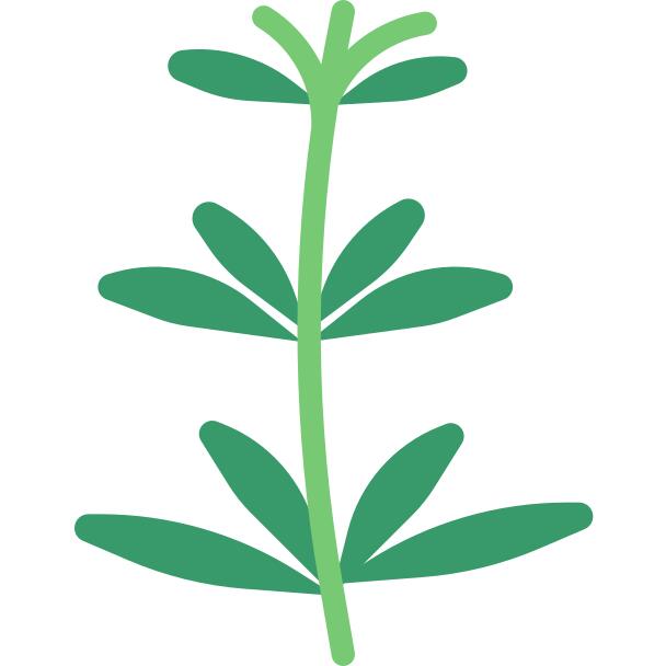 Herb