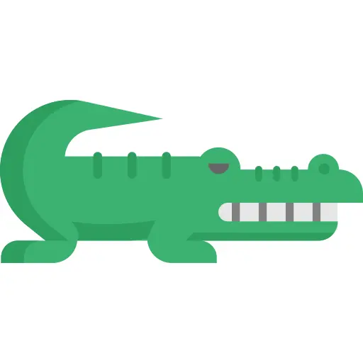 Alligator