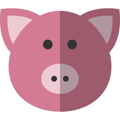 Pig