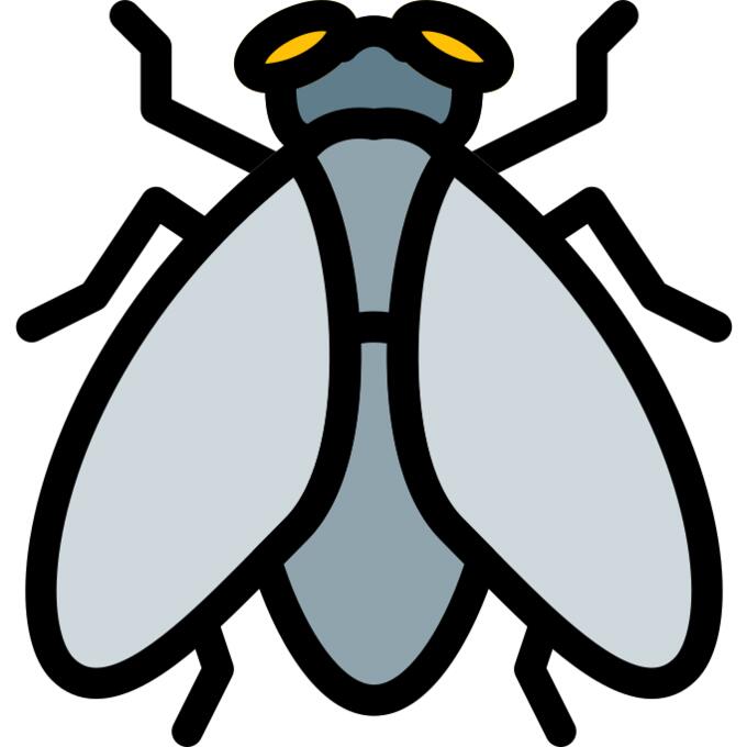 Fly