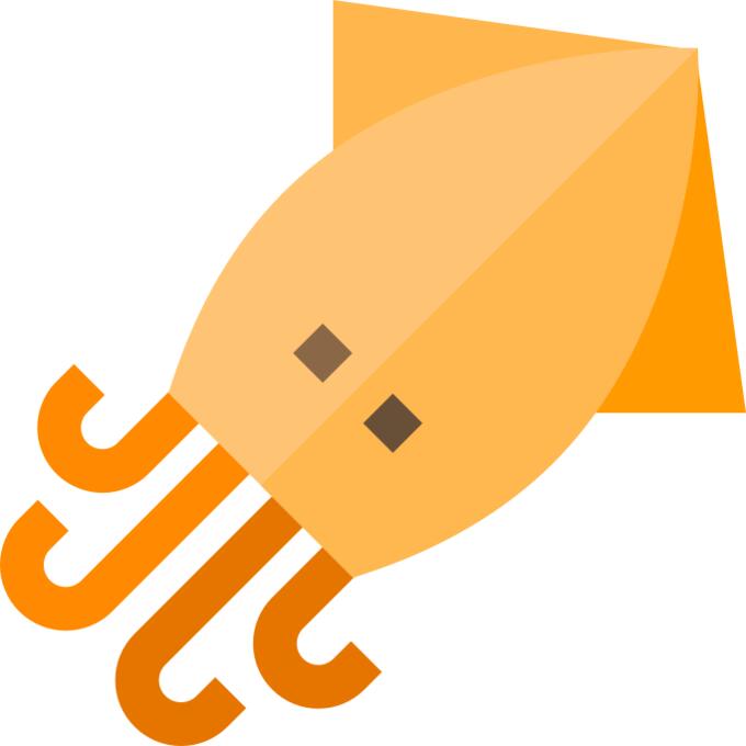 Squid