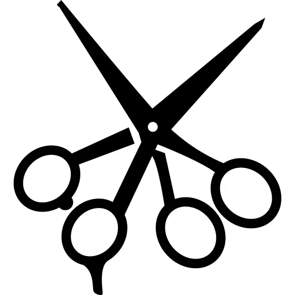 Scissors kit
