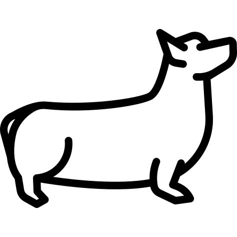 Corgi