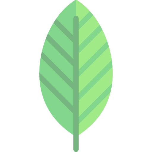 Leaf