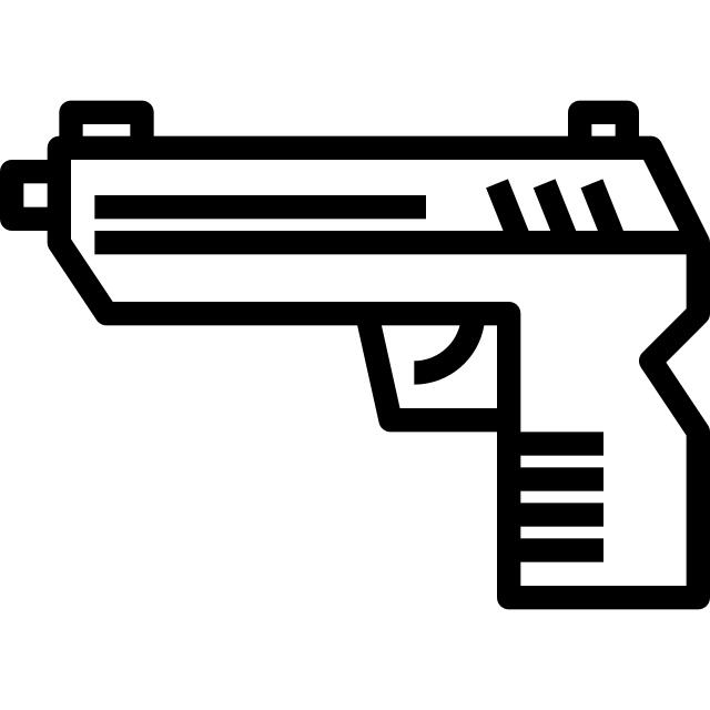 Gun