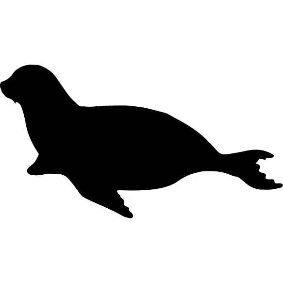 Sea Lion mammal animal shape