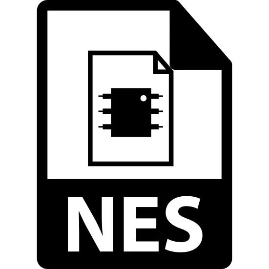 NES file variant