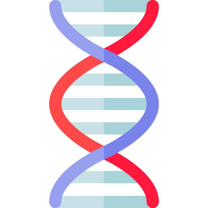 Dna