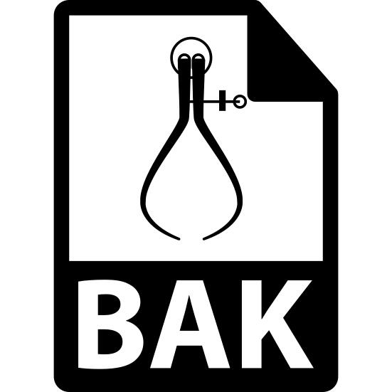 Bak file format symbol