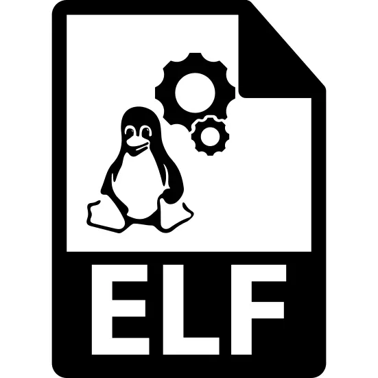 ELF file format variant