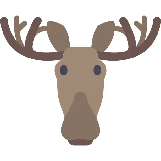 Moose