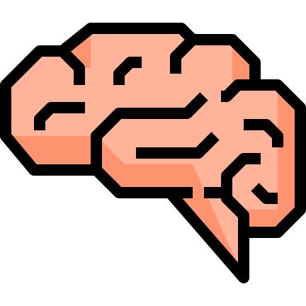 Brain
