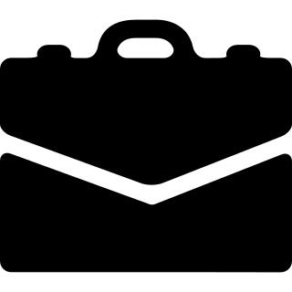 Briefcase bag