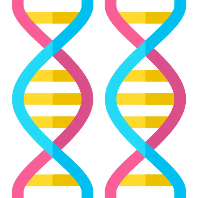 Genome