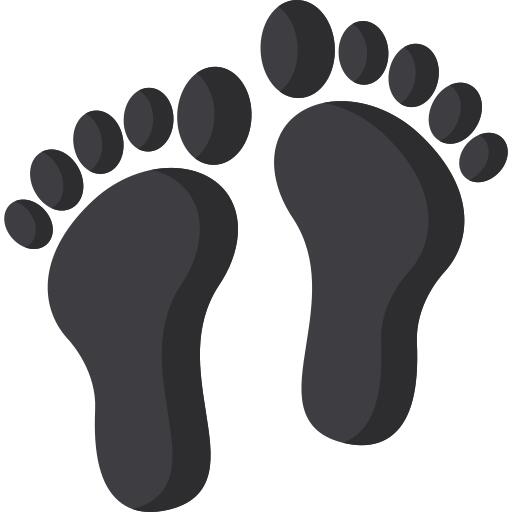 Foot print