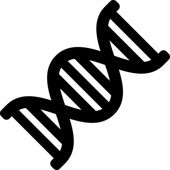 DNA strand