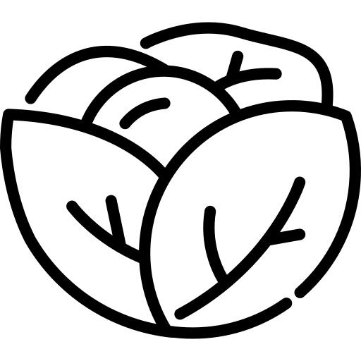 Lettuce
