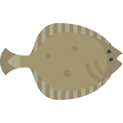Flounder