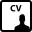Curriculum vitae of a man