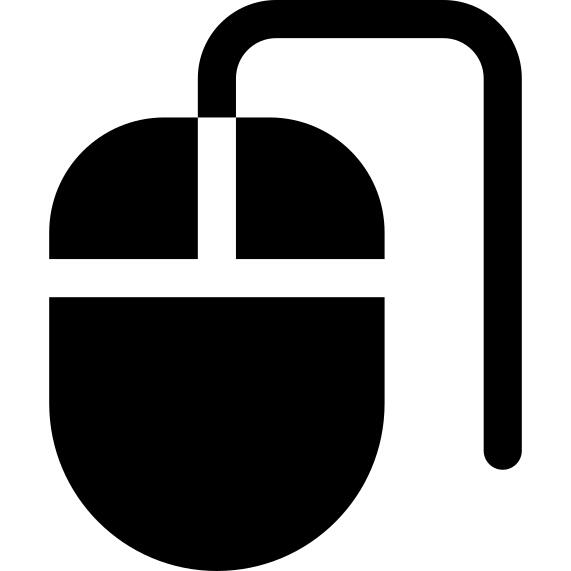 Computer Mouse